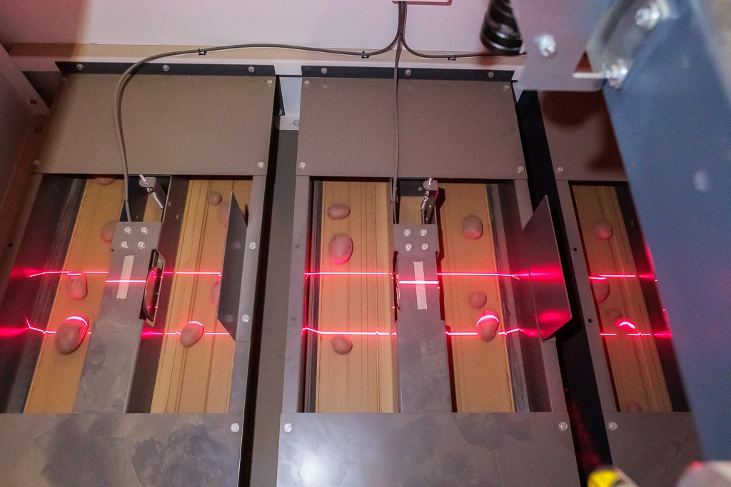 Aardappelen worden met laserlicht gesorteerd in een machine van Tolsma-Grisnich